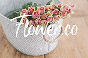 Red Swith Font, a Script Font by FahmiType (Thumbnail 3 of 5)