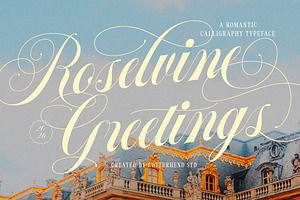 Roselvine Greetings Romantic Script, a Script Font by Letterhend Studio
