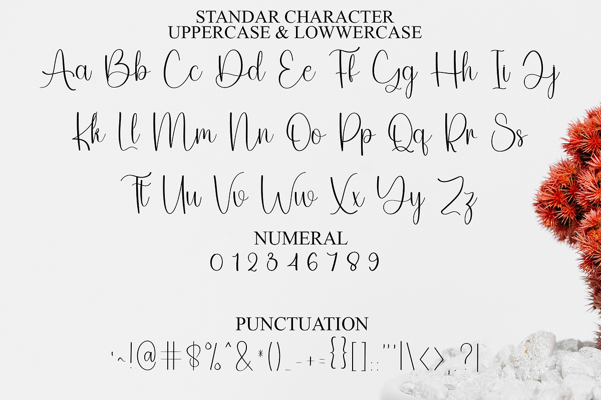 Special Angela, a Handwritten Font by FreshTypeINK (Photo 3 of 8)