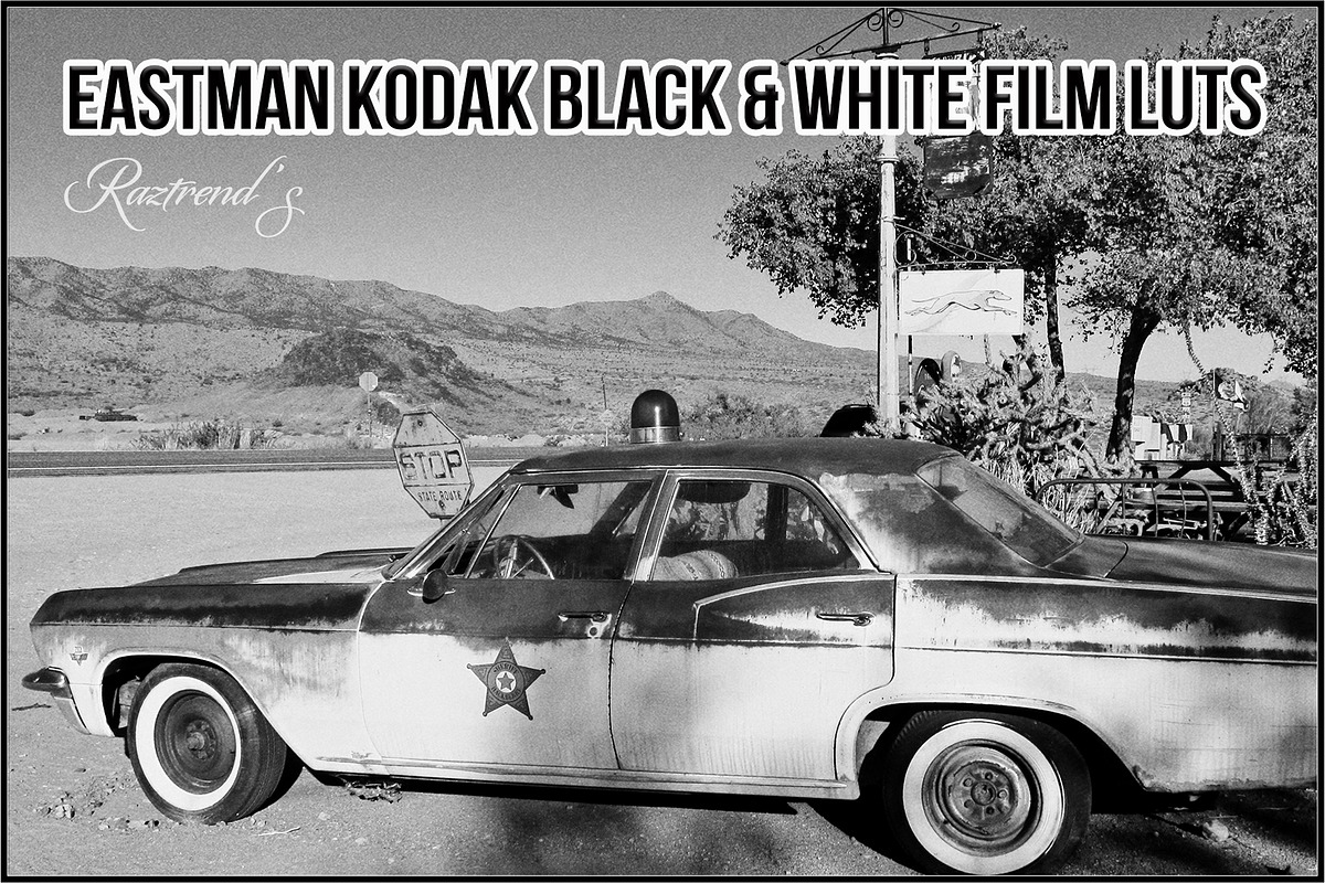 Eastman Kodak Black White Films LUTs, a Plug-in Add-On by Raztrend (Photo 1 of 30)