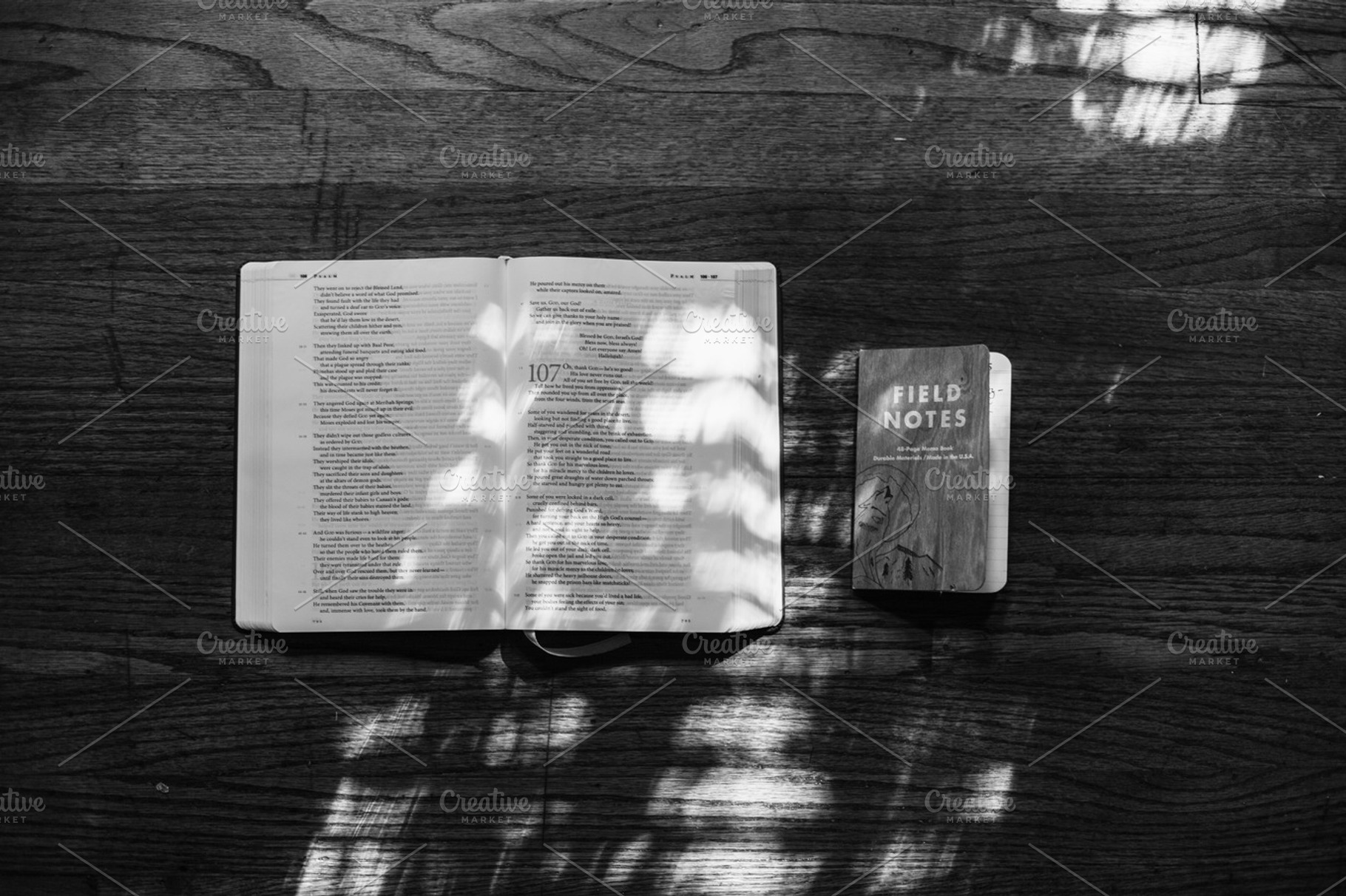 Bible + field notes stock photograph