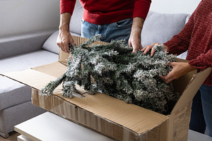 Young couple unpacking Artificial Christmas Tree from Storage Box at home, a Holiday Photo by etorres69