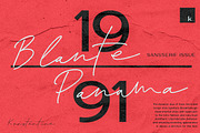 BLANTE PANAMA - Duo Fonts, a Script Font by Konstantine Studio (Thumbnail 5 of 14)