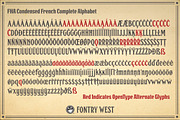 FHA Condensed French, a Font by Fontry West (Thumbnail 6 of 8)
