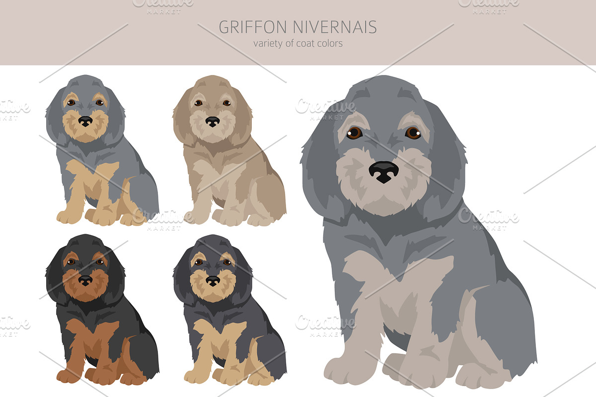 Griffon Nivernais dog clip art, a Background Graphic by pet design shop (Photo 2 of 6)