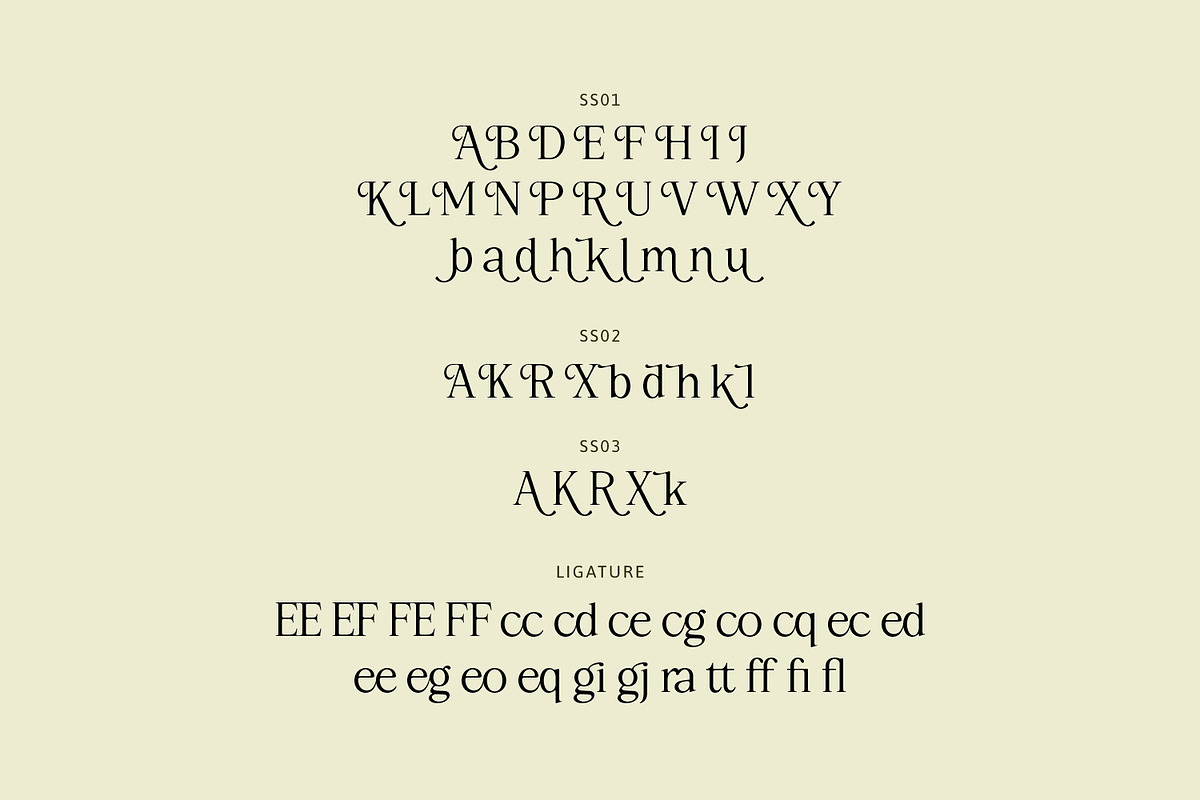 Rothen – Aesthetic Serif Font, a Serif Font by Dikas Studio (Photo 6 of 10)