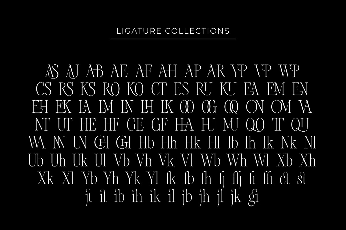 Chakem - Modern Ligature serif Font, a Serif Font by Issam Type (Photo 11 of 12)