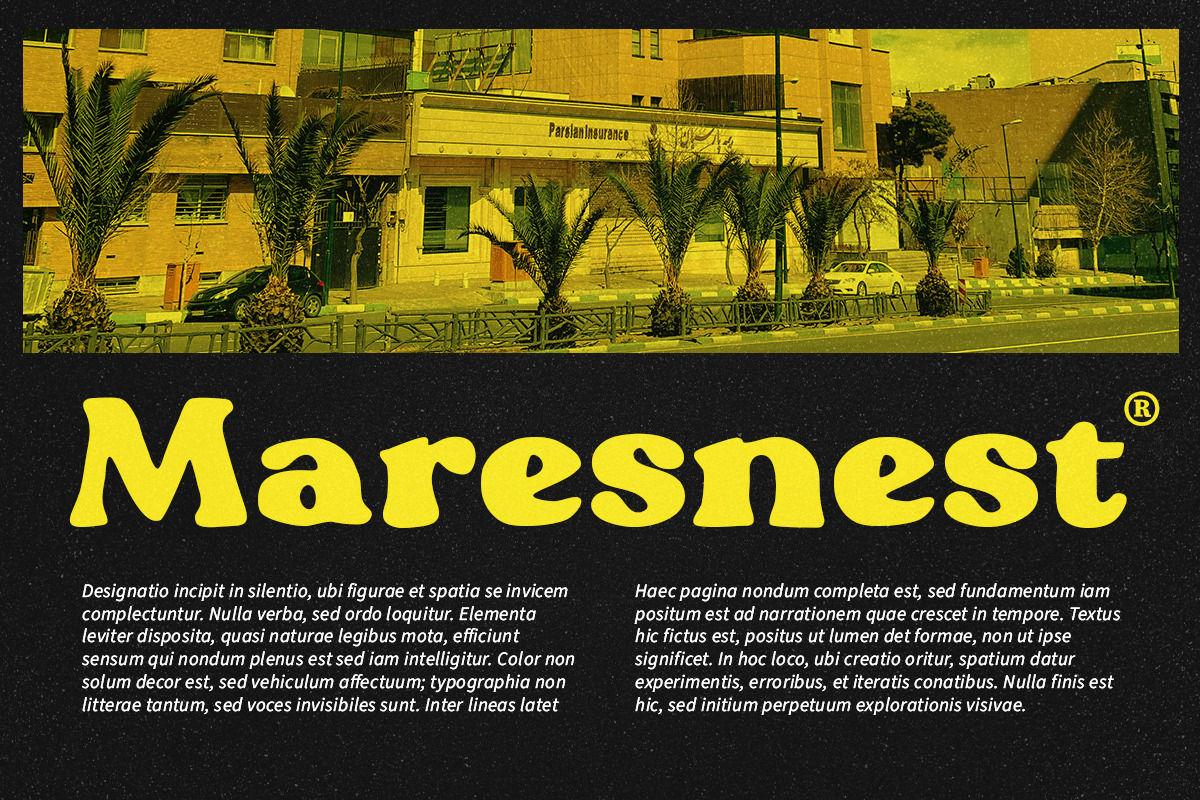 Blogeris Display, a Handwritten Font by Youngtype.Std (Photo 8 of 10)