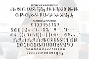 Delightful | Script Font, a Handwritten Font by Scratchones (Thumbnail 7 of 9)