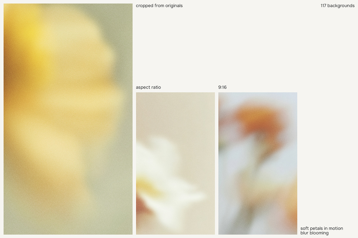 FLORET Blur Flower Backgrounds, a Background Graphic by Aesthetic Eye (Photo 15 of 19)