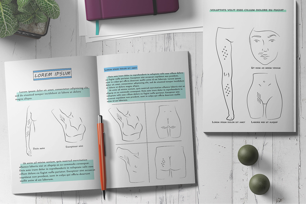 Body parts vector line art set, an Illustration by OctopusRider (Photo 2 of 5)