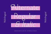 Argent Paradise Serif Oldstyle, a Serif Font by Letterena Studios (Thumbnail 12 of 15)