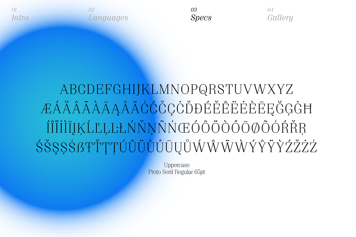 Proto Serif Font Family, a Serif Font by Bukva™ Type Foundry (Photo 8 of 16)