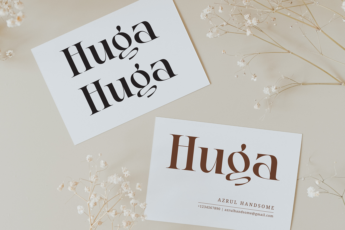 Faghe Modern - Elegant Logo Font, a Serif Font by Nirmana Visual (Photo 8 of 10)