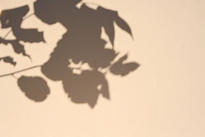 Scene for product demonstration and advertising with a shadow of, an Abstract Photo by ndanko