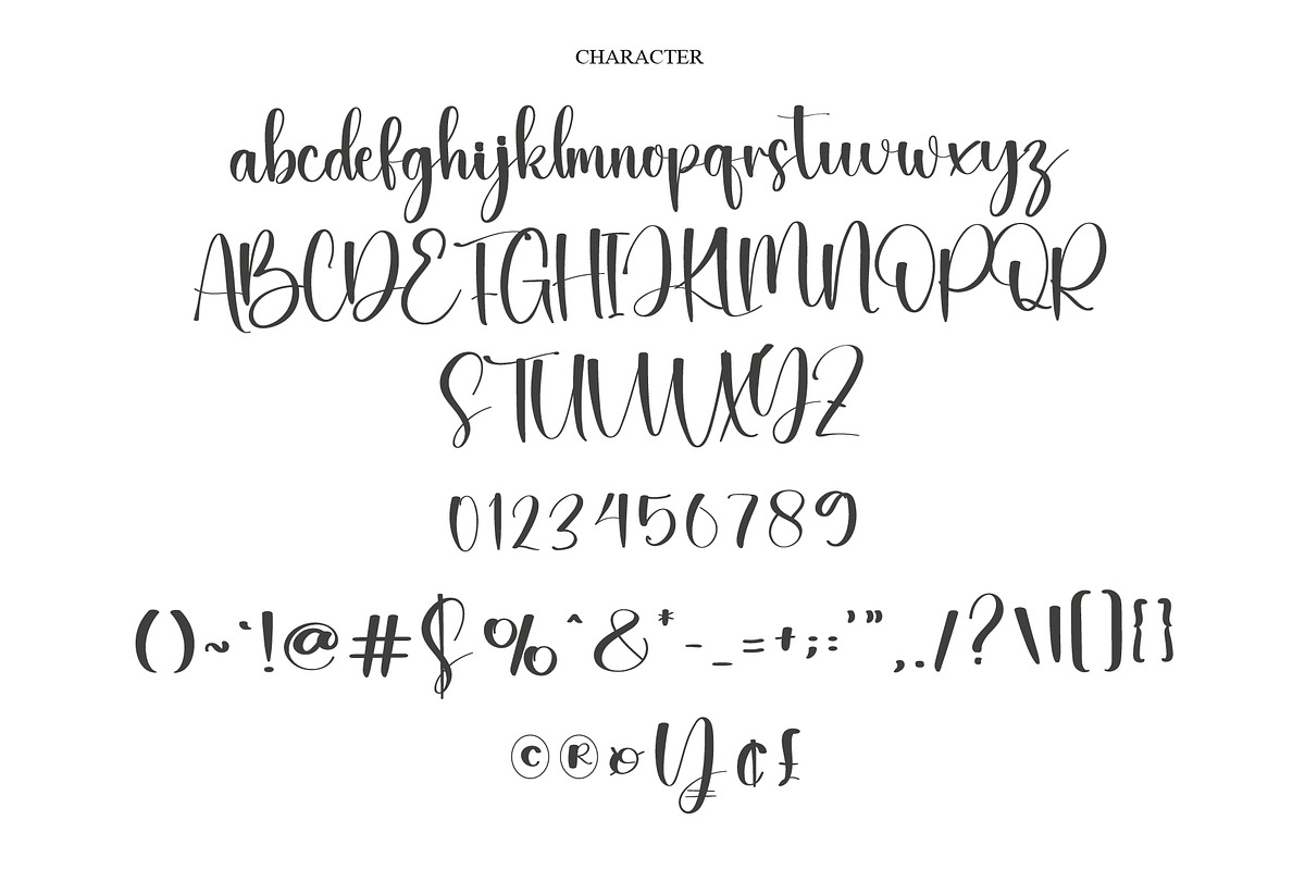 Barcode, a Handwritten Font by FreshTypeINK (Photo 2 of 6)