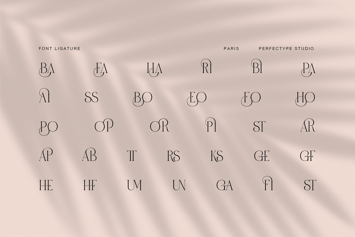 Paris Elegant Serif Font, a Serif Font by Perfectype (Photo 8 of 8)