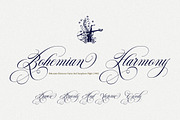 Chardonnay Script, a Script Font by Has_rizal (Thumbnail 9 of 11)