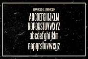 Huntaron, a Serif Font by lelevien (Thumbnail 4 of 5)