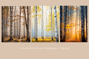 Autumn Birch Forest