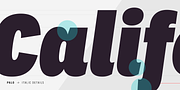 Palo, a Sans Serif Font by TypeUnion (Thumbnail 10 of 17)