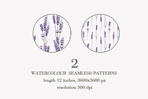 Lavender Pattern.Watercolor, Lineart