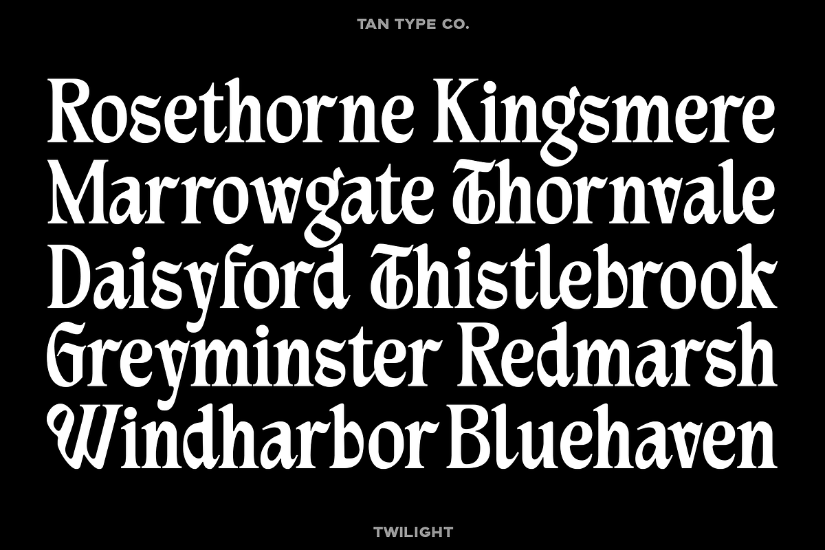 TAN - TWILIGHT, a Blackletter Font by TanType (Photo 5 of 13)