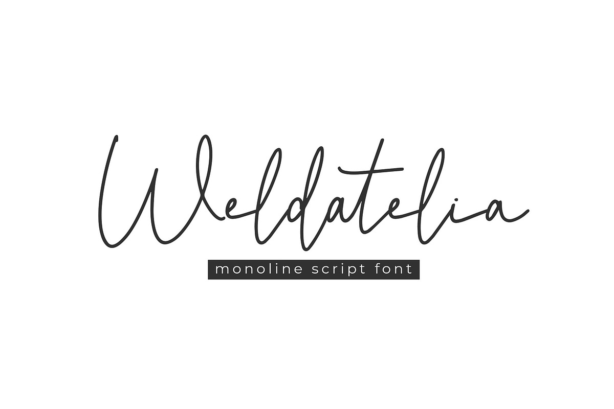 Weldatelia Monoline Script Font, a Script Font by NTC Graphic (Photo 1 of 9)