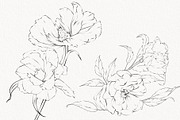 Procreate flower stamp, anemones, a Brush Add-On by AnnaPolitmerskaja (Thumbnail 2 of 6)