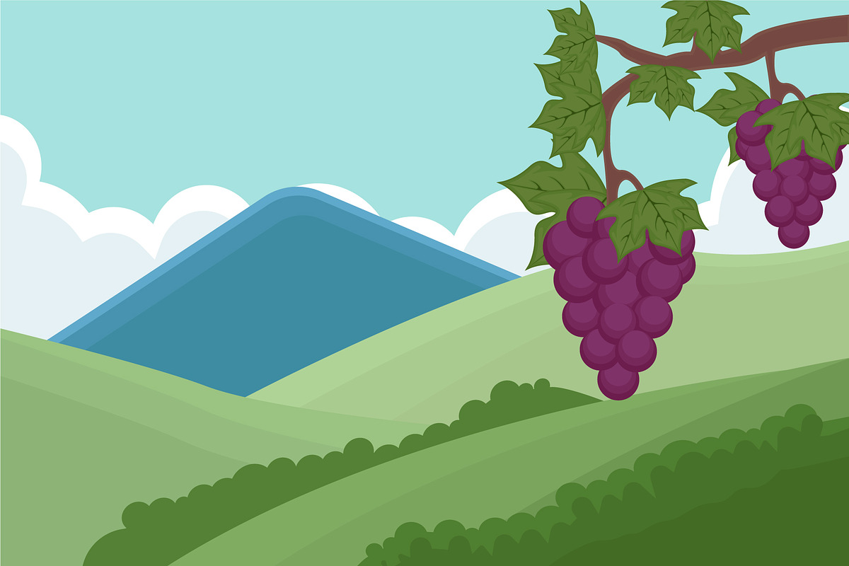 field of vineyard landscaped vector, a Decorative Illustration by zyxroun shop