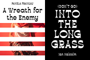Drogheda | Funky Slab Serif Font, a Slab Serif Font by Twicolabs Fontdation (Thumbnail 4 of 9)