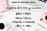 Castelo Script + 5 Branding Boards, a Script Font by Inky Jar Design Studio (Thumbnail 2 of 8)