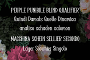 Janziar, a Serif Font by lelevien (Thumbnail 5 of 5)