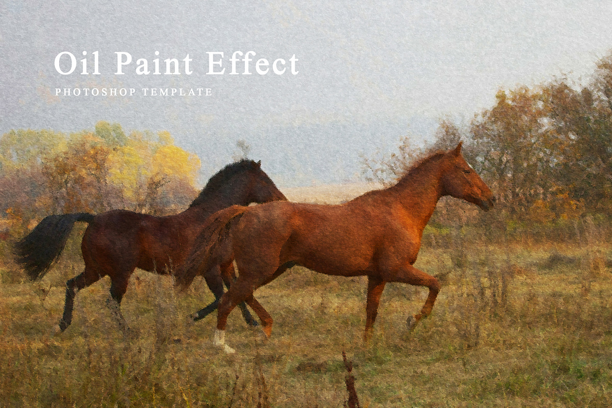 Oil Paint Effect Photoshop, an Action Add-On by liptouse (Photo 1 of 7)