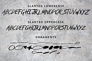 Swarsh, a Script Font by Hanna James (Thumbnail 4 of 5)
