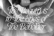 TAN - THE MYTHS, a Font by TanType (Thumbnail 6 of 16)