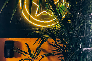 Neon star sign surrounded by tropica, a Photo by Dvoevnore photos