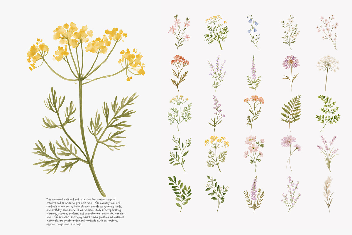 a wildflower meadow clipart set, a Decorative Illustration by Patishop Art (Photo 6 of 12)