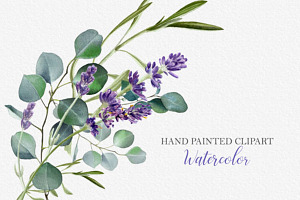 Watercolor Eucalyptus & Lavender