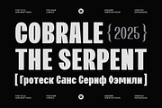 Cobrale - Family Grotesk, a Sans Serif Font by Marvadesign (Thumbnail 1 of 12)