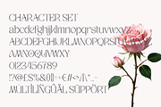Velisse Feminine Serif Font, a Serif Font by PutraCetol Studio (Thumbnail 5 of 5)