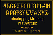 Waltair, a Serif Font by LetterStock (Thumbnail 5 of 5)