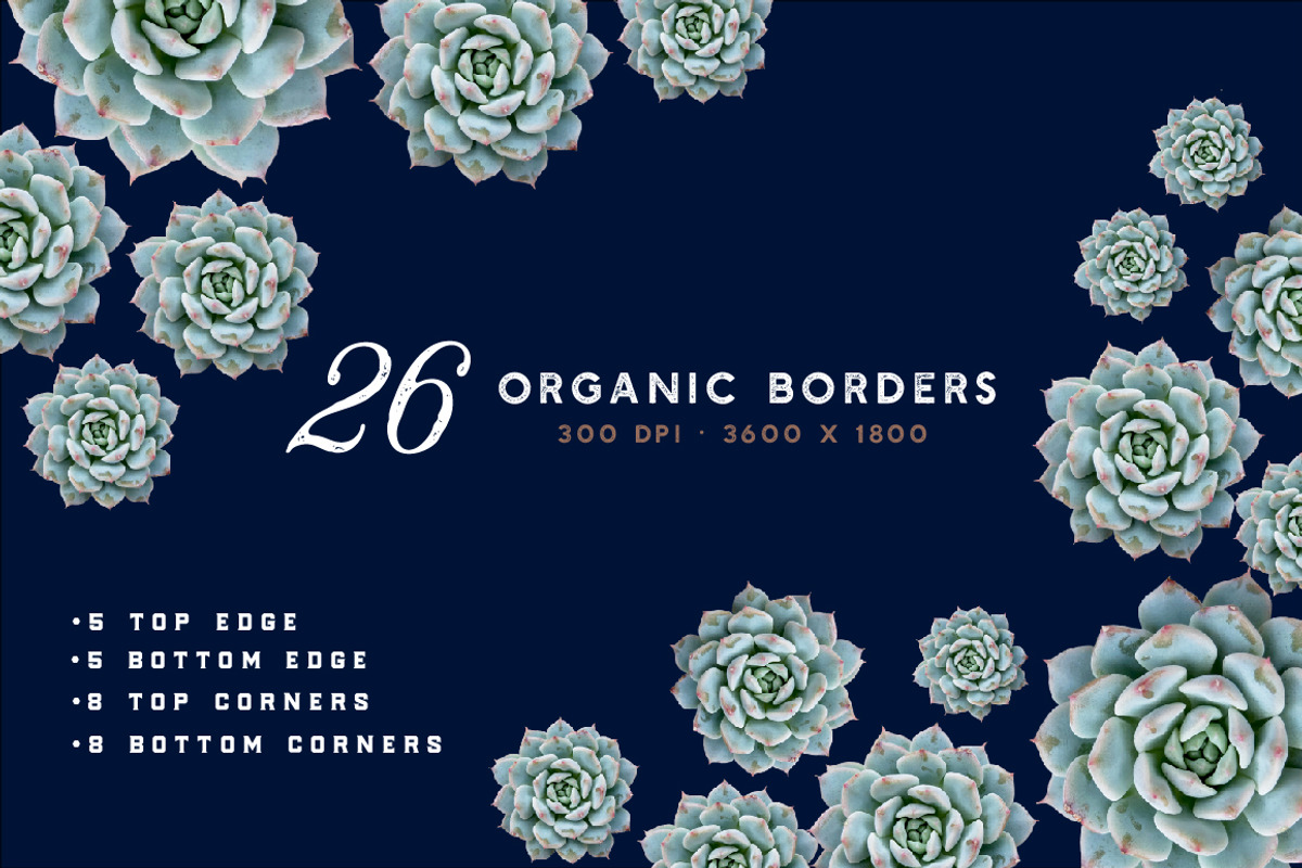 Succulent Borders - Botanic ClipArt, an Object Graphic by Turning Moss (Photo 3 of 5)