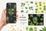 CANNABIS, a Decorative Illustration by Elena_Sedova (Thumbnail 8 of 16)
