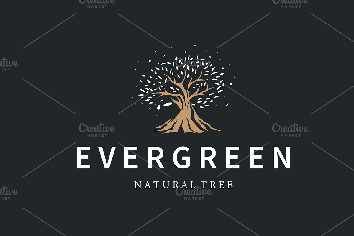 Modern Tree Leaf Icon for Eco, a Branding & Logo Template by Maylianaw28 (Photo 3 of 3)