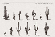 Sketch Cacti Vector Bundle, a Seasonal Illustration by TheMountBirdStudio (Thumbnail 7 of 14)