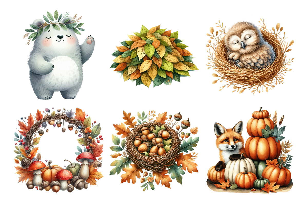 Autumn Fall Woodland Clipart, an Illustration by Daily.Designs (Photo 3 of 5)