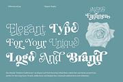 Akiho Faranea - Serif Display Family, a Serif Font by Differentialtype (Thumbnail 2 of 11)
