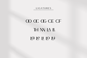 Kings and Queens, a Sans Serif Font by Sofia Skoog (Thumbnail 7 of 10)