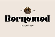 Mindely, a Serif Font by ahweproject (Thumbnail 5 of 12)
